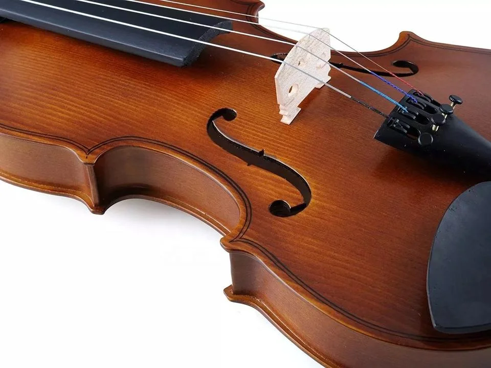 Nuevo controlador de CPU HMI PLC otros varinishs antiguos de Case para Violin principiantes