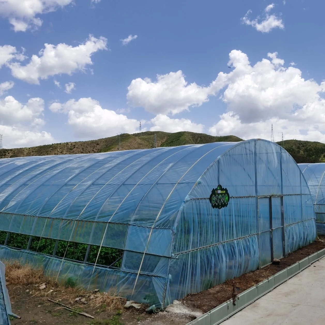 Estructura de acero túnel de fácil montaje invernadero para dejar verduras