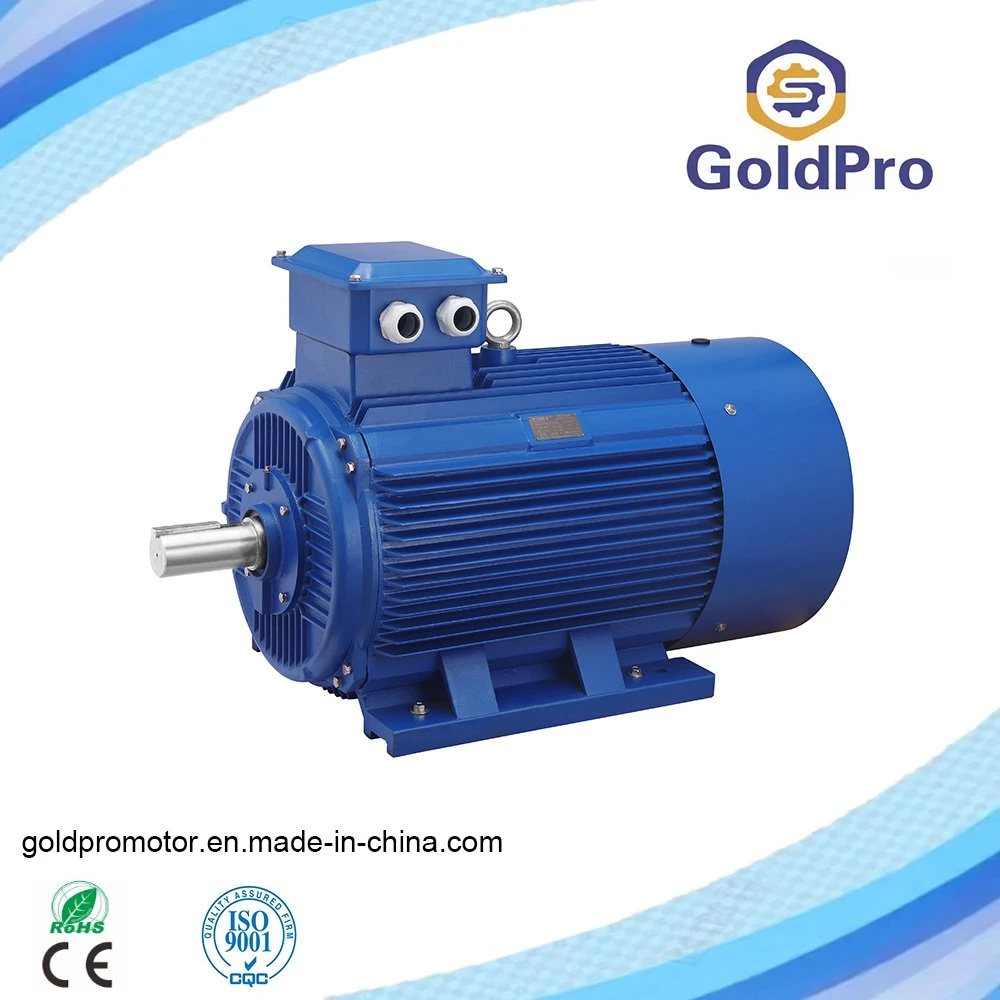 AC 0.12kw-315kw Y2 Series Industrial Electric Motor for Pump Fans/Gear Transmission