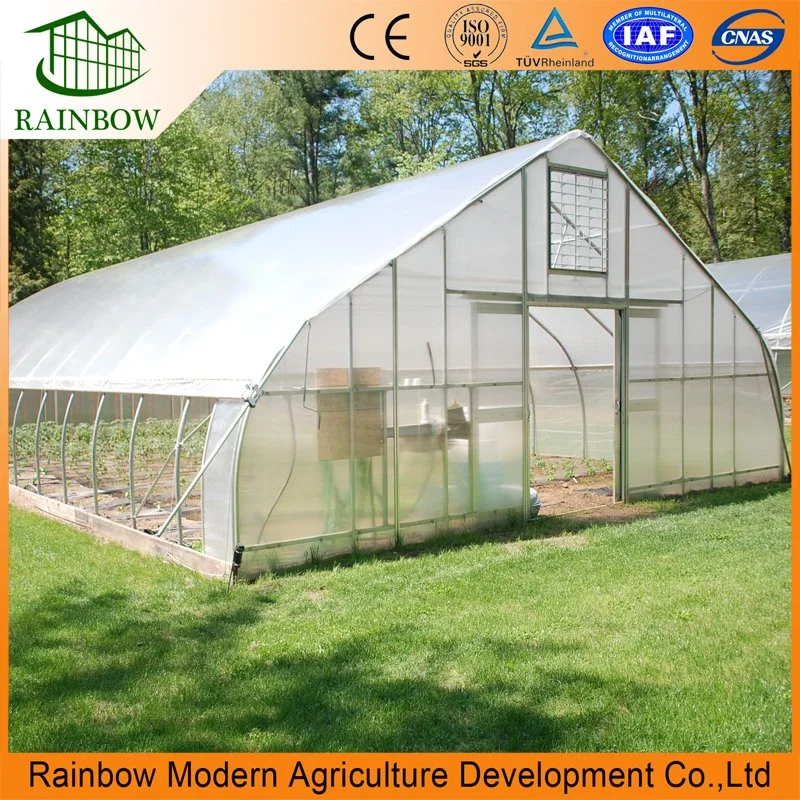 Low Cost Singlespan Film Tunnel Vegetable China Greenhouse with Hydroponics