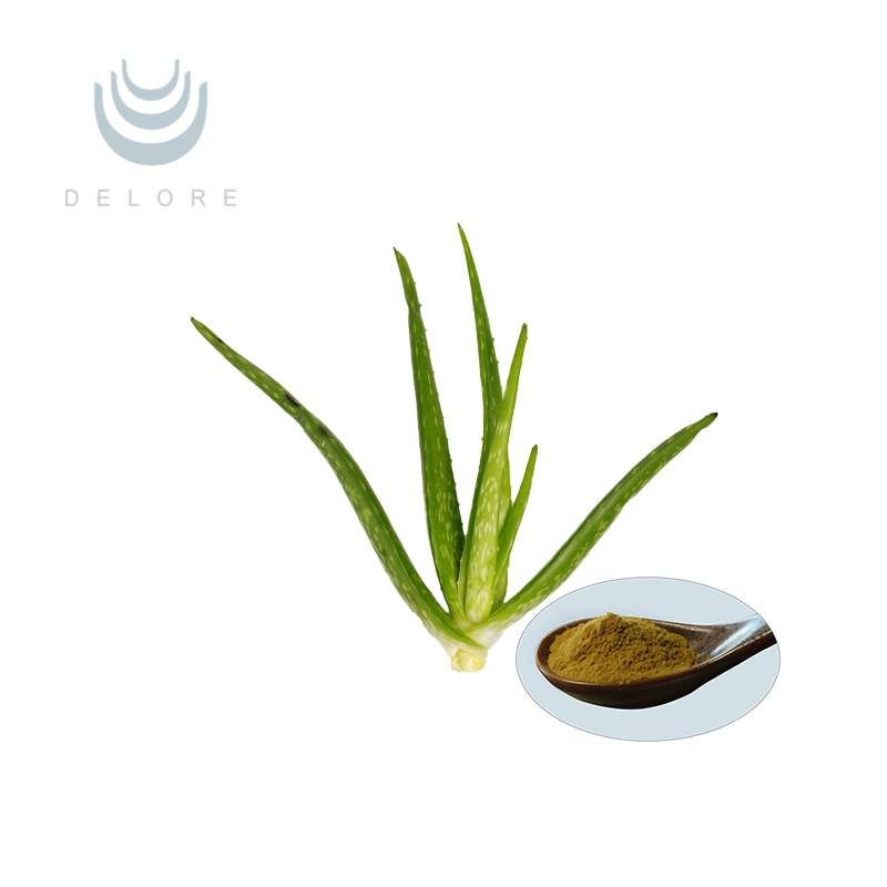 Manufacturer Supply 100% Aloe Vera Extract Aloe Vera Ext Powder 10: 1 20: 1 Supply Freeze Dried Aloe Vera Gel Powder 200X