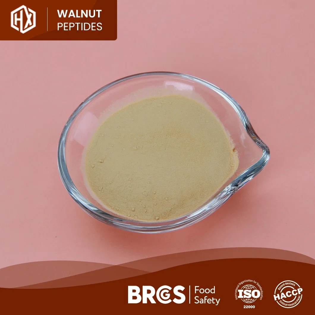 Haoxiang ODM Kundenspezifische 90% nicht-GVO Walnuss Isolate Protein Factory Supply Walnuss Peptide Bulk High Purity Walnuss Peptid Pulver in immun Und Anti-Ermüdung