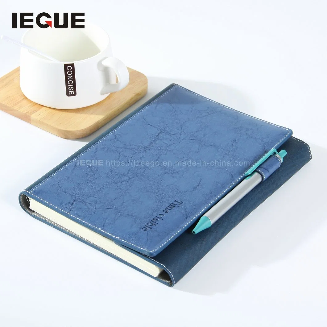 Wholesale/Supplier 2023 Diary Custom Organizer Stationery Fancy Leather A4 A5 Natural Logo Print Notebook with 6 Ring