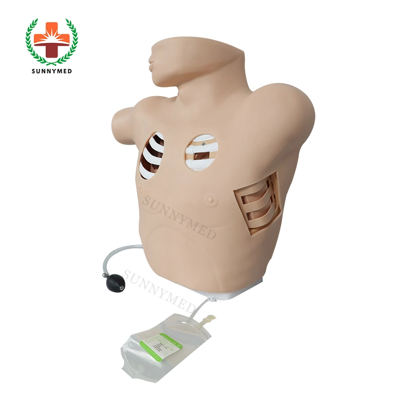 Sy-N07904 Clinical Thoracentesis Drainage Model Manikin for Training