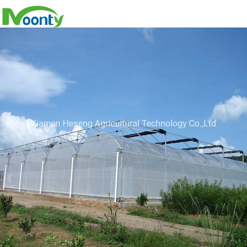 Best Single Tunnel/ Multi Spans Polyhouse Agricultural PE Film Greenhouse with Shading System/ Irrigation System/ Fertilization System