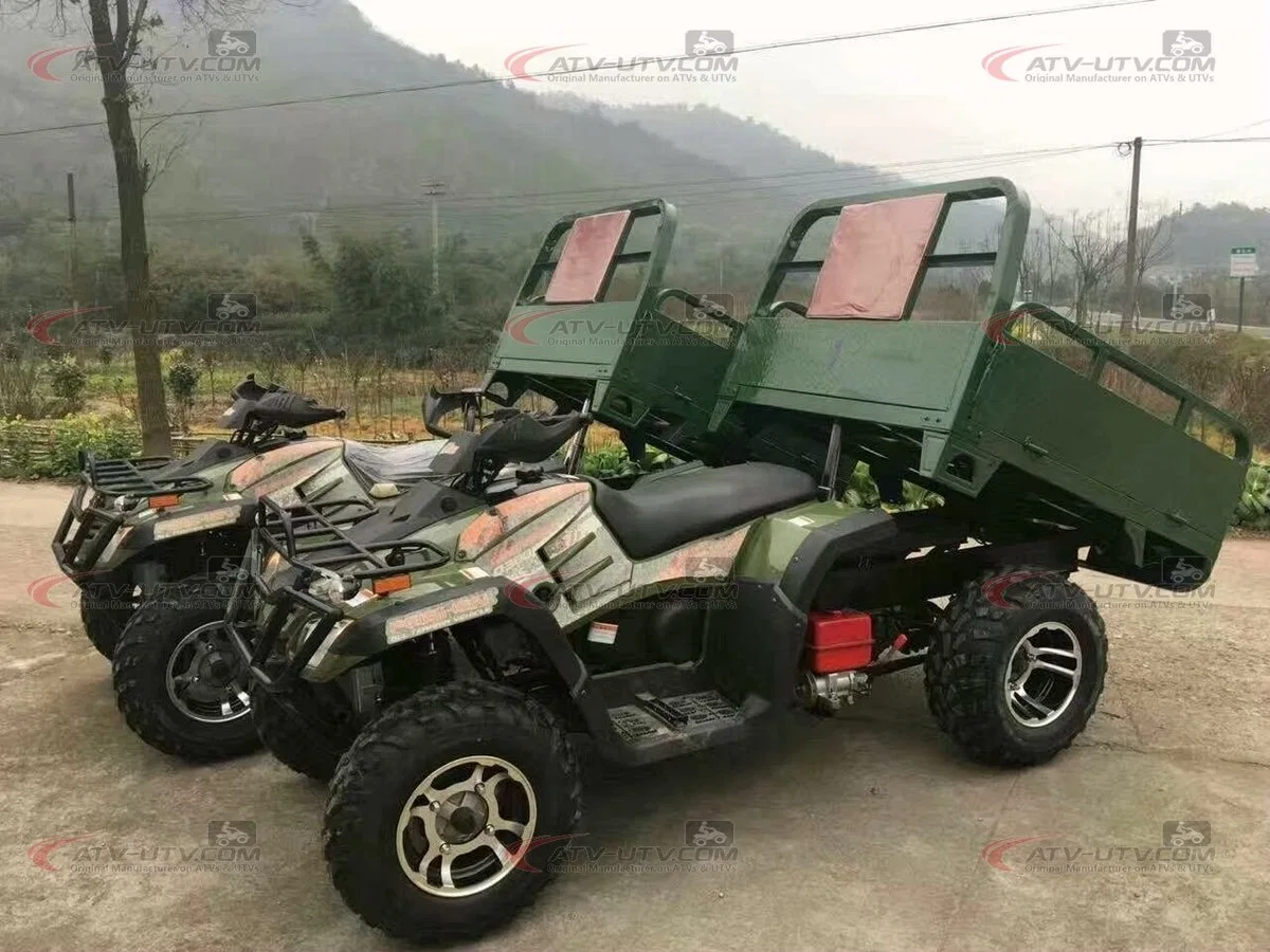 Big Discount 200cc 250cc 300cc 400cc Gas Cargo Farm UTV ATV Quad Bike Price