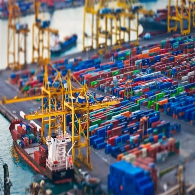 Meilleur conteneur de fret maritime de la Chine à Guayaquil Logistics Service