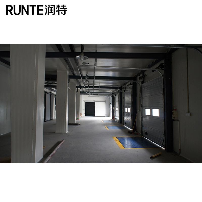 Runte Brand Vegetable Fruit New Customized Small and Big Sizes Cooling Foods Freezer Room Cold Storage