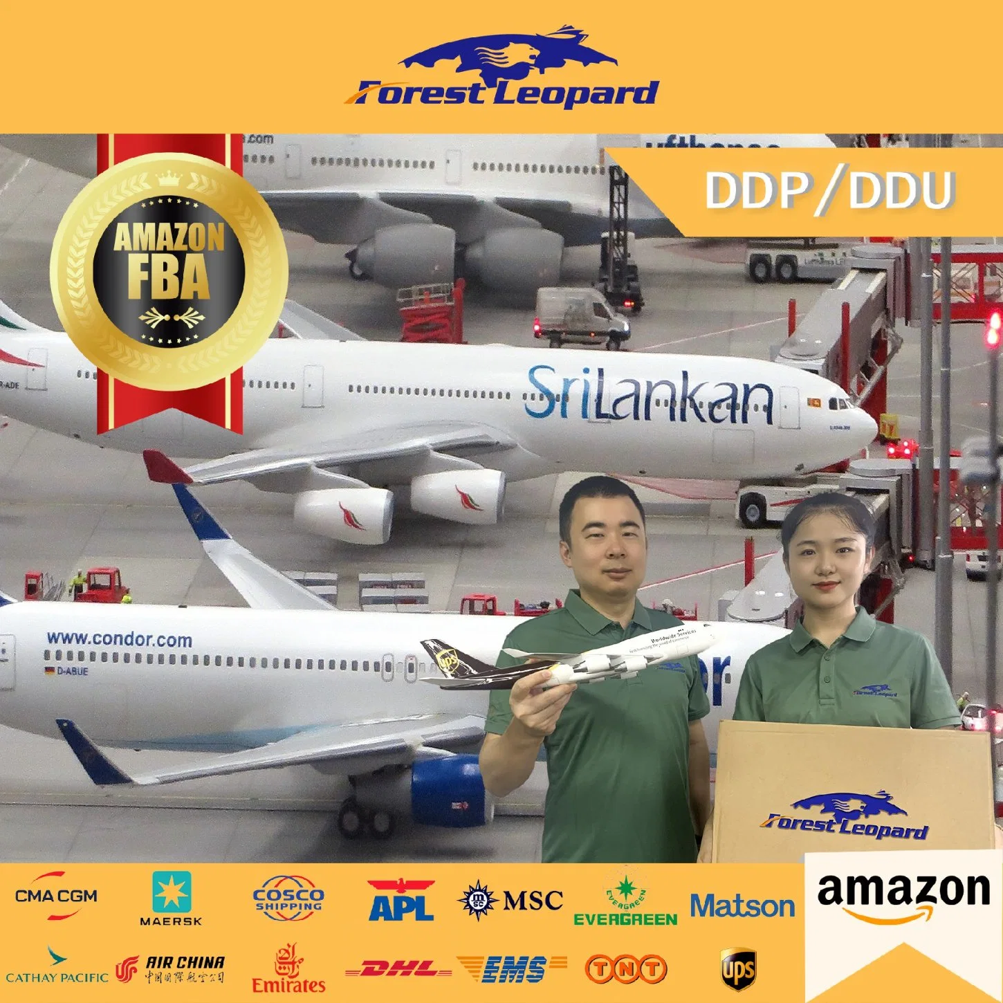 China Top 10 International Logistics Professional Freight Forwarder Shipping Service From China to USA/UK/Ca/EU DDP