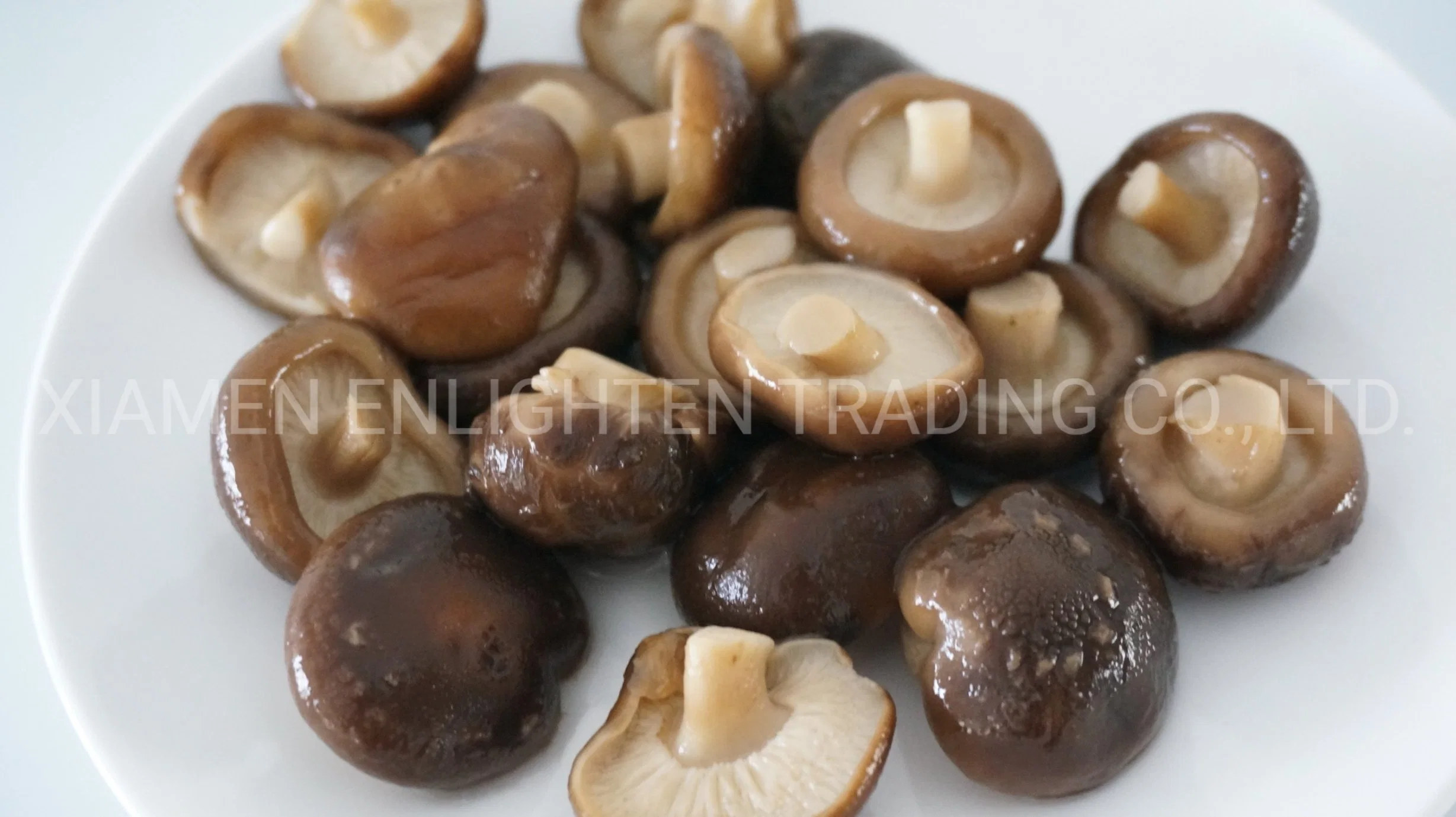 2021 nuevo cultivo de setas Shiitake