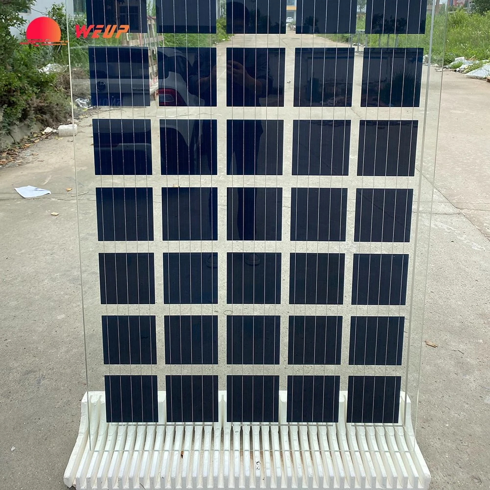 260W 270W 300W High Efficiency BIPV Transparent Solar Panels