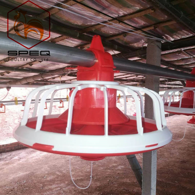 High quality/High cost performance  Poultry Farming Automatic Chicken Chain Feeding Equipment for Sale