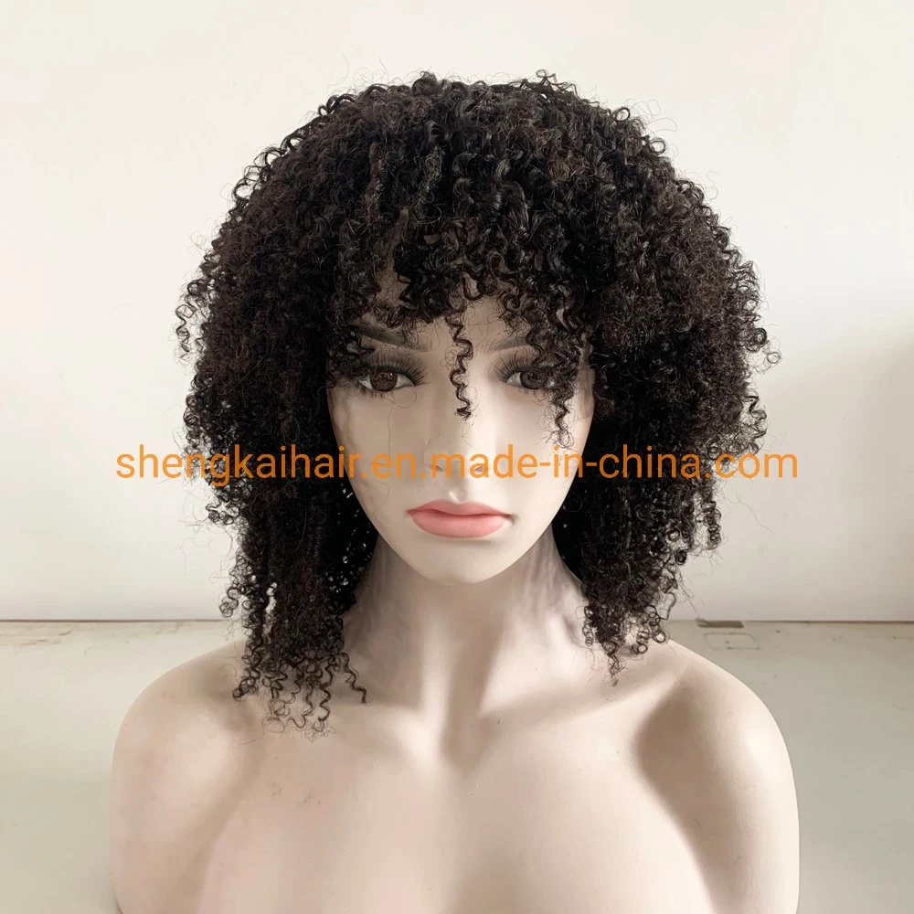 Wholesale/Supplier Lace Front Afro Wave Natural Human Hair Women Wigs