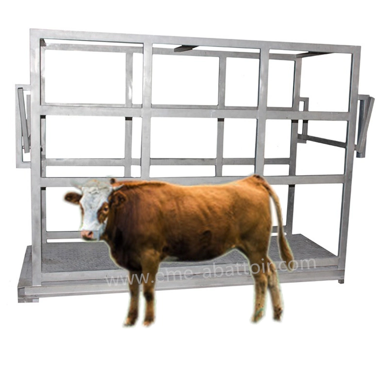 Living Cattle Livestock Scales Cow Weighing Machine Abattoir Equipment for Slaughter Processing