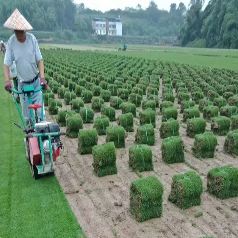 Hocheffiziente Landwirtschaft Rad Kleine Kabellose Mini Smart Selbstautomatik Benzin Fernbedienung Golfplatz frei ging 8HP 9HP Rasen Mähmaschine