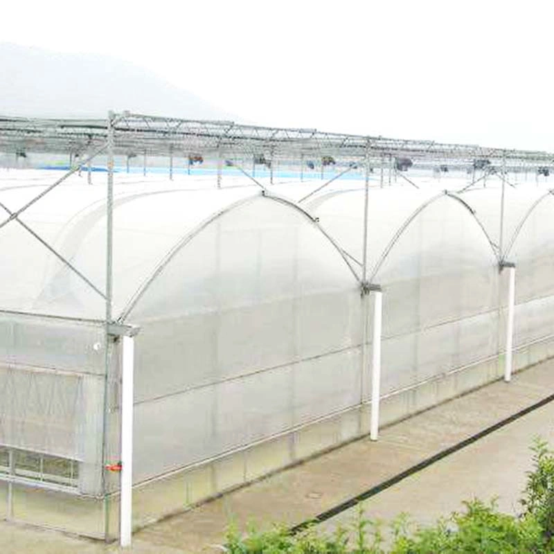 Structural Roofing Xinhe Standard Packing Container Customized Polycarbonate Multi-Span Greenhouse