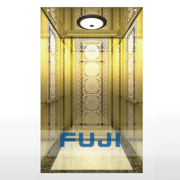 FUJI Gold Mirror Etching Cost Price House Passenger Lift Made in China