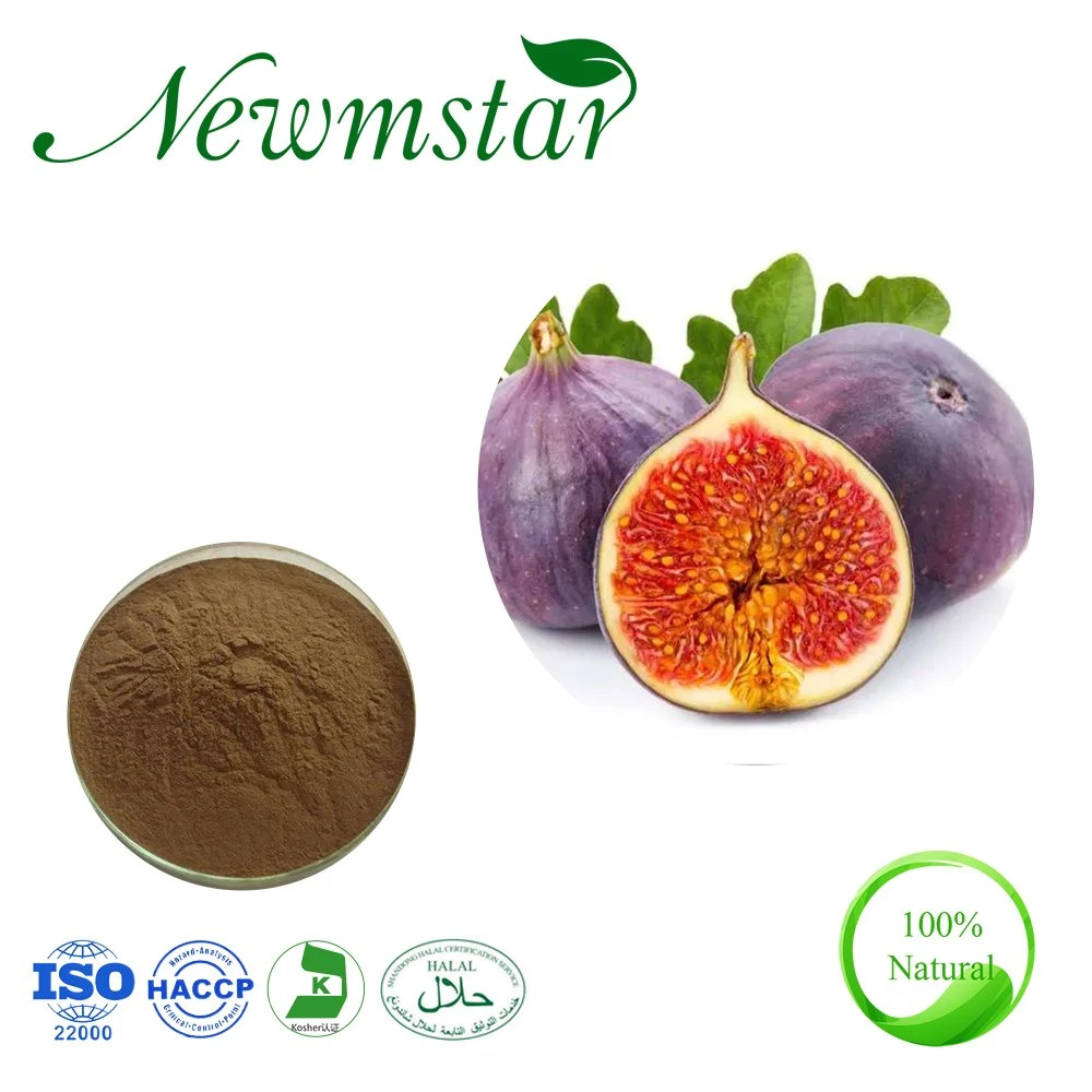 Fig Fruit Extract Syconium Fici Caricae Ficus Carica Fruit Extract