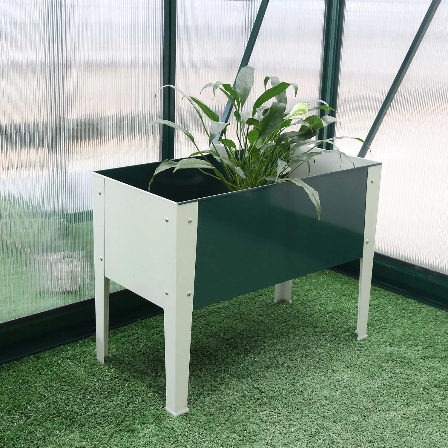 Greenhouse Use Flower بوت وPlanter Rdsg1408045-Wo