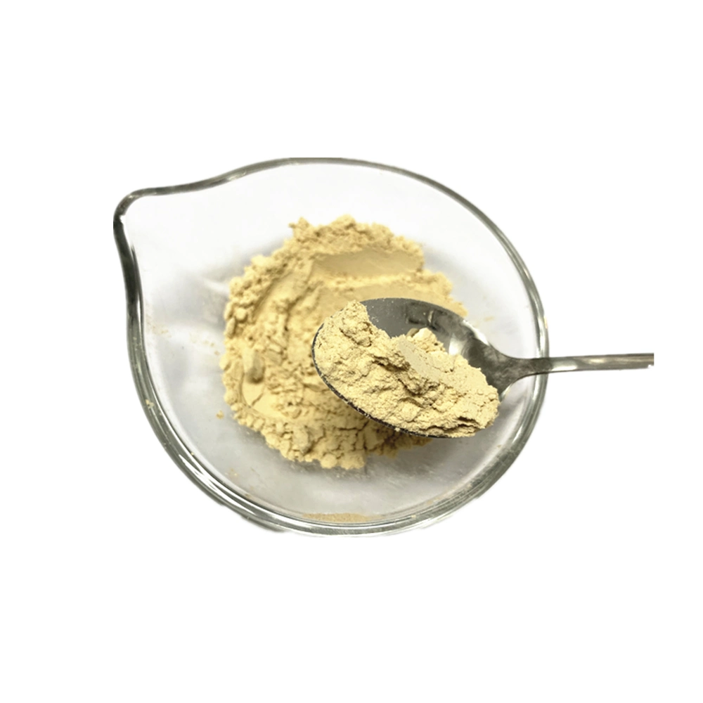 Top Quality Light Selected Healthy Dried Shitake Mushroom Powder