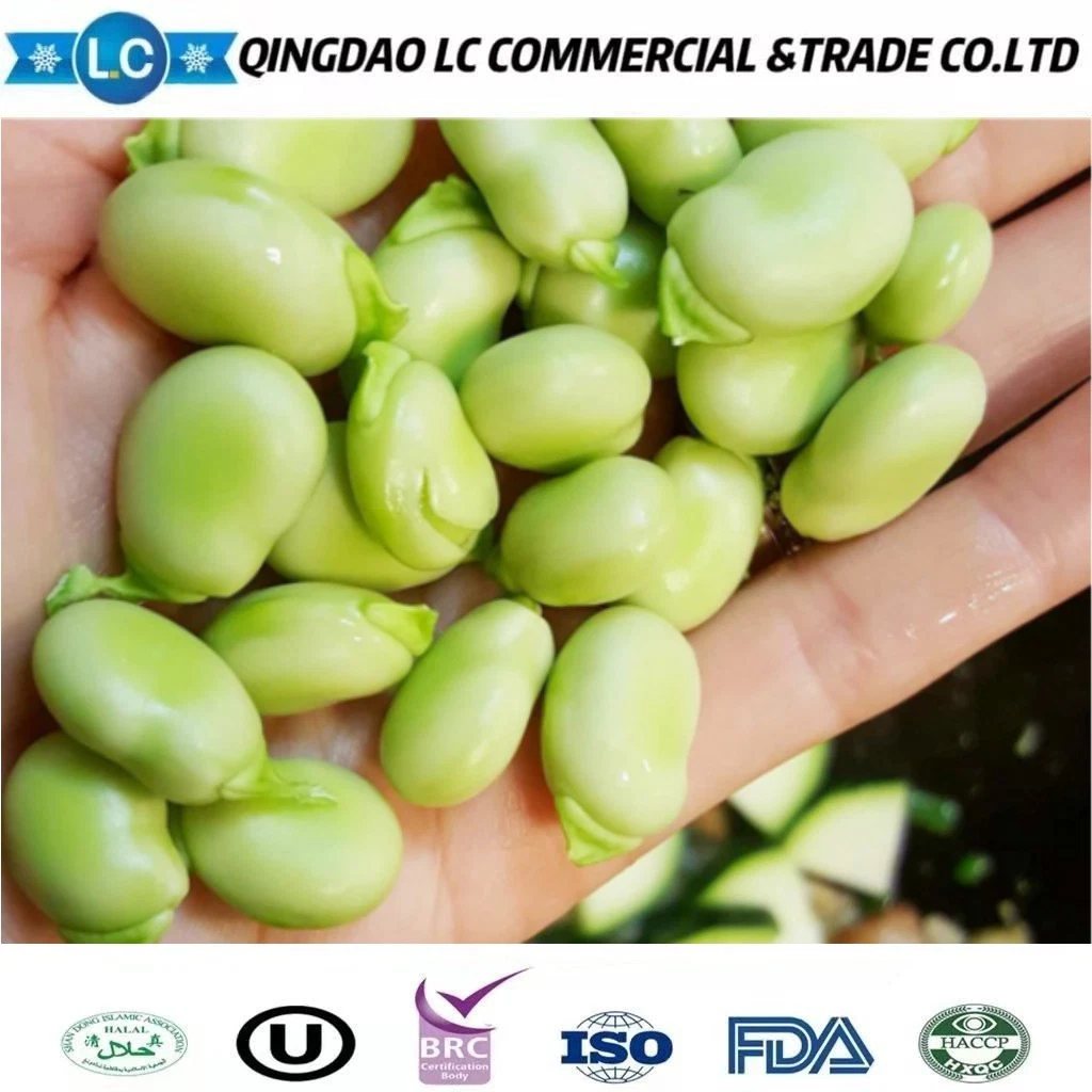 Export Chinese Green Specifications IQF Whole Raw Frozen Split Broad Beans for Sale