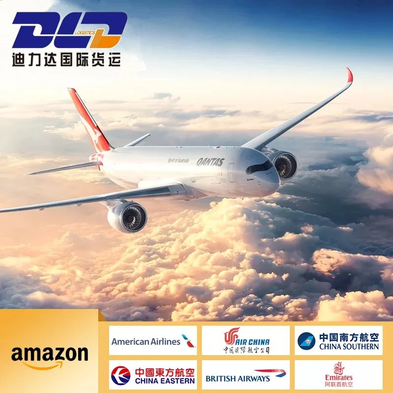 DDP/Air Dispatch/Dispatch to Amazon and Private Address in Europe and Америка - Шэньчжэнь Экспедер