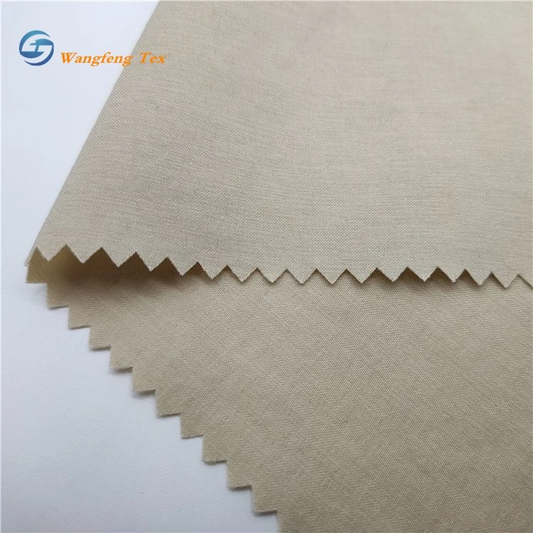 High Density 70d Ripstop Nylon Fabric with PU Coating or Silica Coating for Parachute and Paraglider