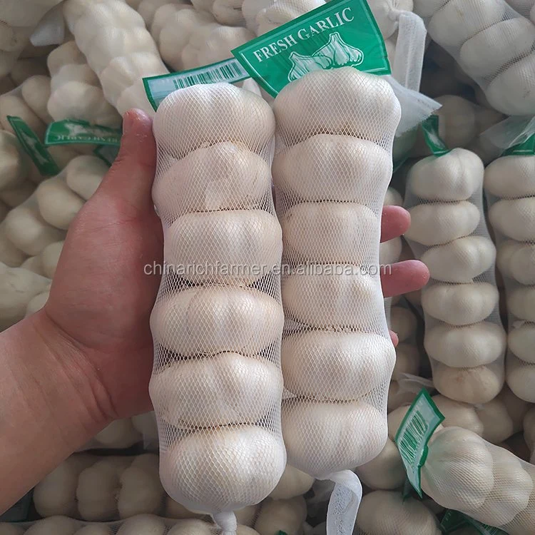 2022 New Crop Top Quality 4.5cm, 5.0cm, 5.5cm, 6.0cm Chinese White Fresh Garlic From Jining Rich Farmer