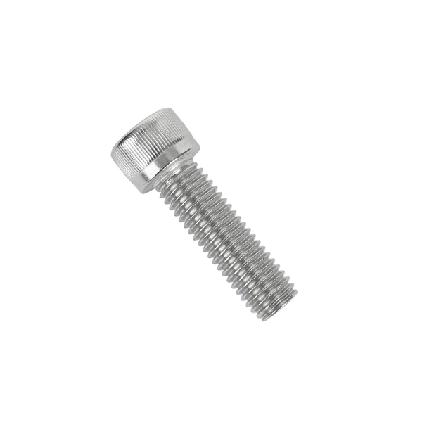 Stainless Steel Made in China Socket Head Screw Allen Key Bolt