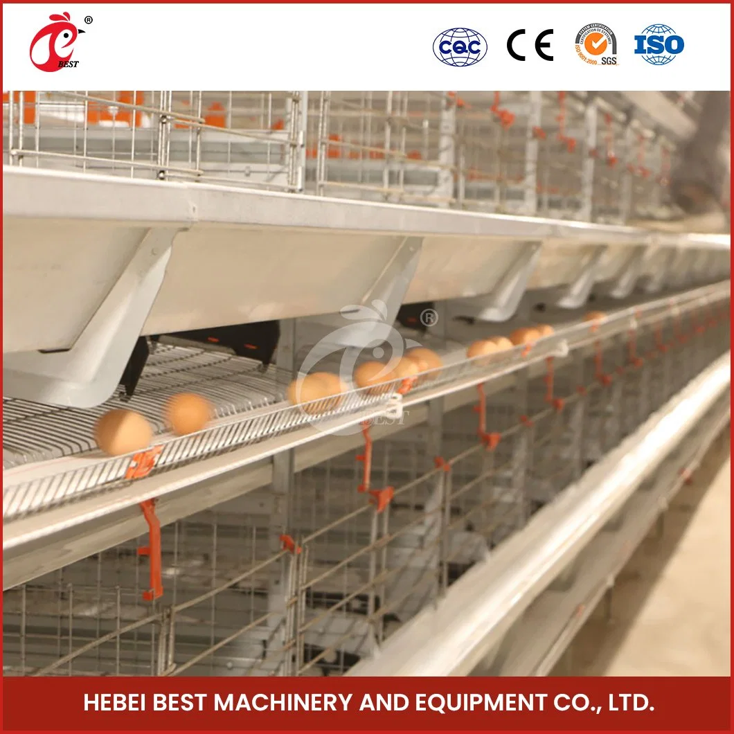 Bestchickencage H Type Breeder Cage Layer Cage China Animal Layer Cages Chicken Manufacturing Free Sample Applicable Food Shop Chicken Laying Eggs Cage