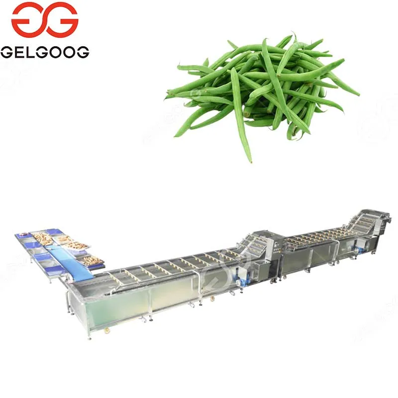 IQF Tunnel Food Freezer Tunnel Deep Freezer IQF Machine Frozen Food Chiller Frozen Green Beans Vegetables Processing Machine