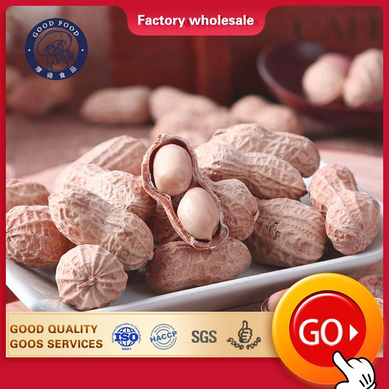 Craftsmanship Bulk Packing Delicious Salted Peanuts Natural Roasted Peanuts