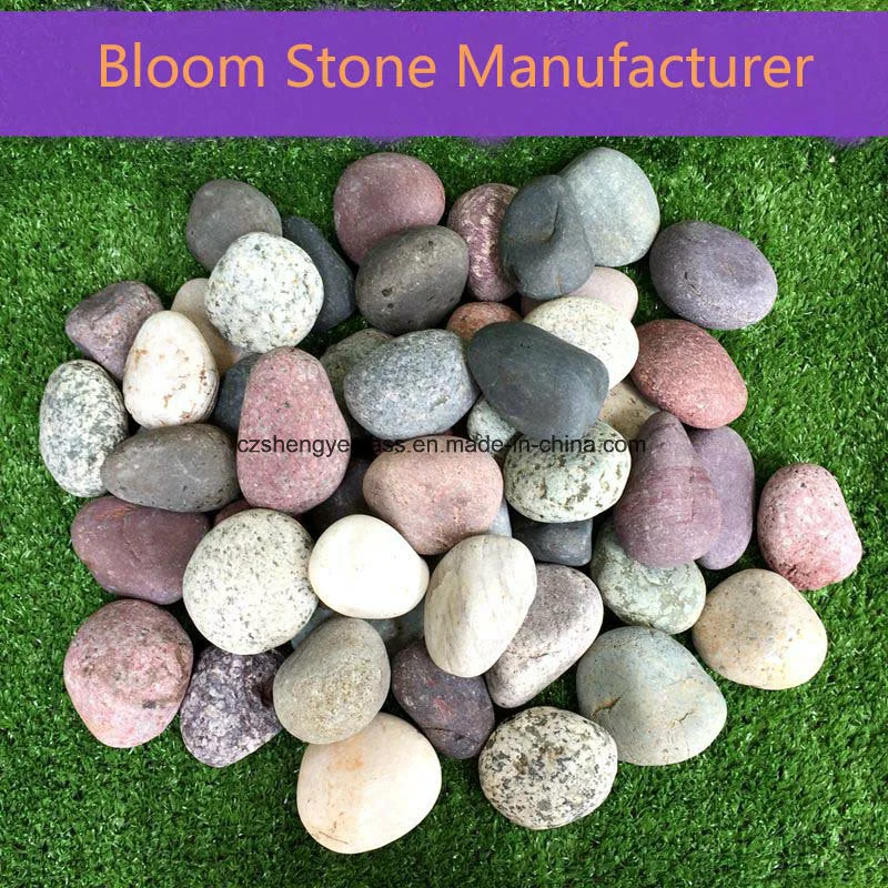 Wash Rain Flower Pebble Garden Decoration for Sale