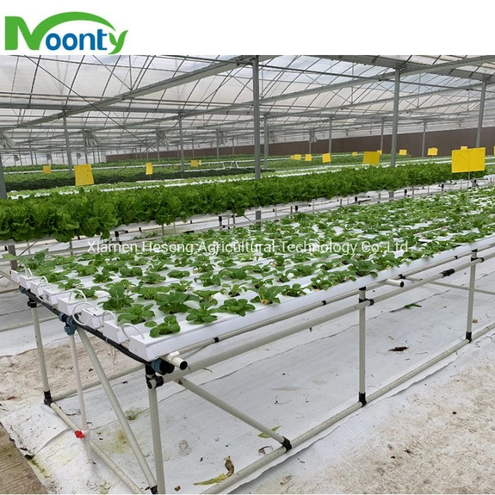 Customized Nft Hydroponics Grow System Agricultural Farm Vertical Grow System for Strawberry Cucumber Pepper