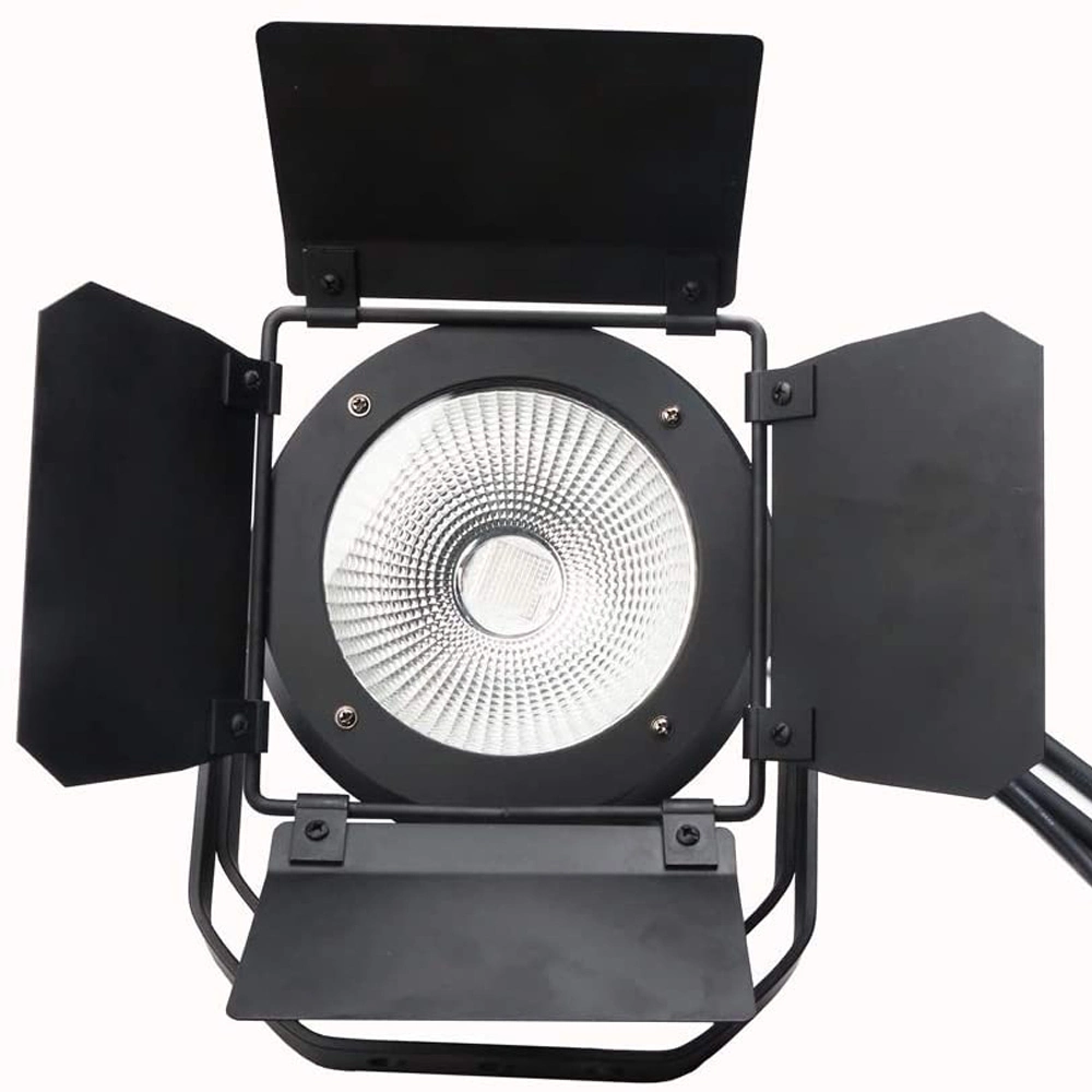 100W COB 2in1 Cold White Warm White LED PAR Audience Blinder Light for DJ Party Stage Bar Disco