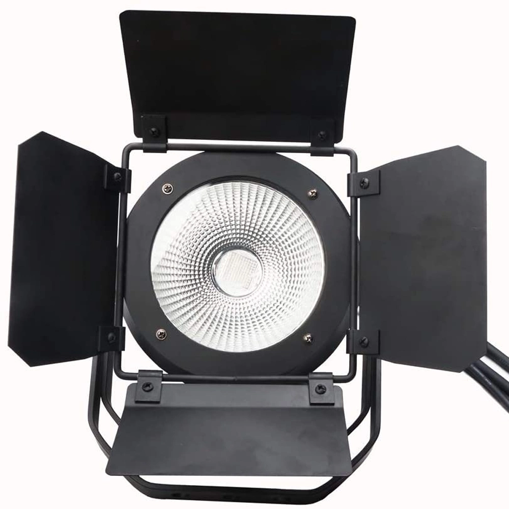 100W COB 2in1 Kaltweiß Warm-Weiß LED PAR Publikum Blinder Light für DJ Party Stage Bar Disco