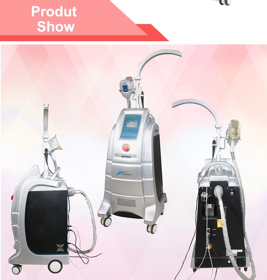 Hot Selling Professional Cryolipolysis Anti Freezing Equipment (ETG50-3S)