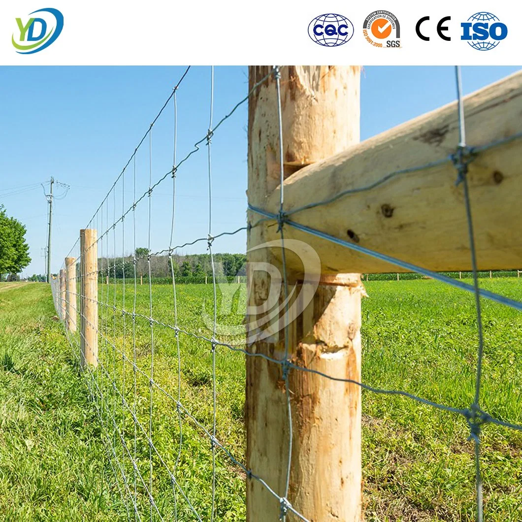 Yeeda Aço Inoxidável Frango cerca de arame China Manufacturing Serviço Pesado Frango Wire Mesh 1m X 2m Farm de PVC branco da Barragem Heavy Bull Fio empurrador de campo