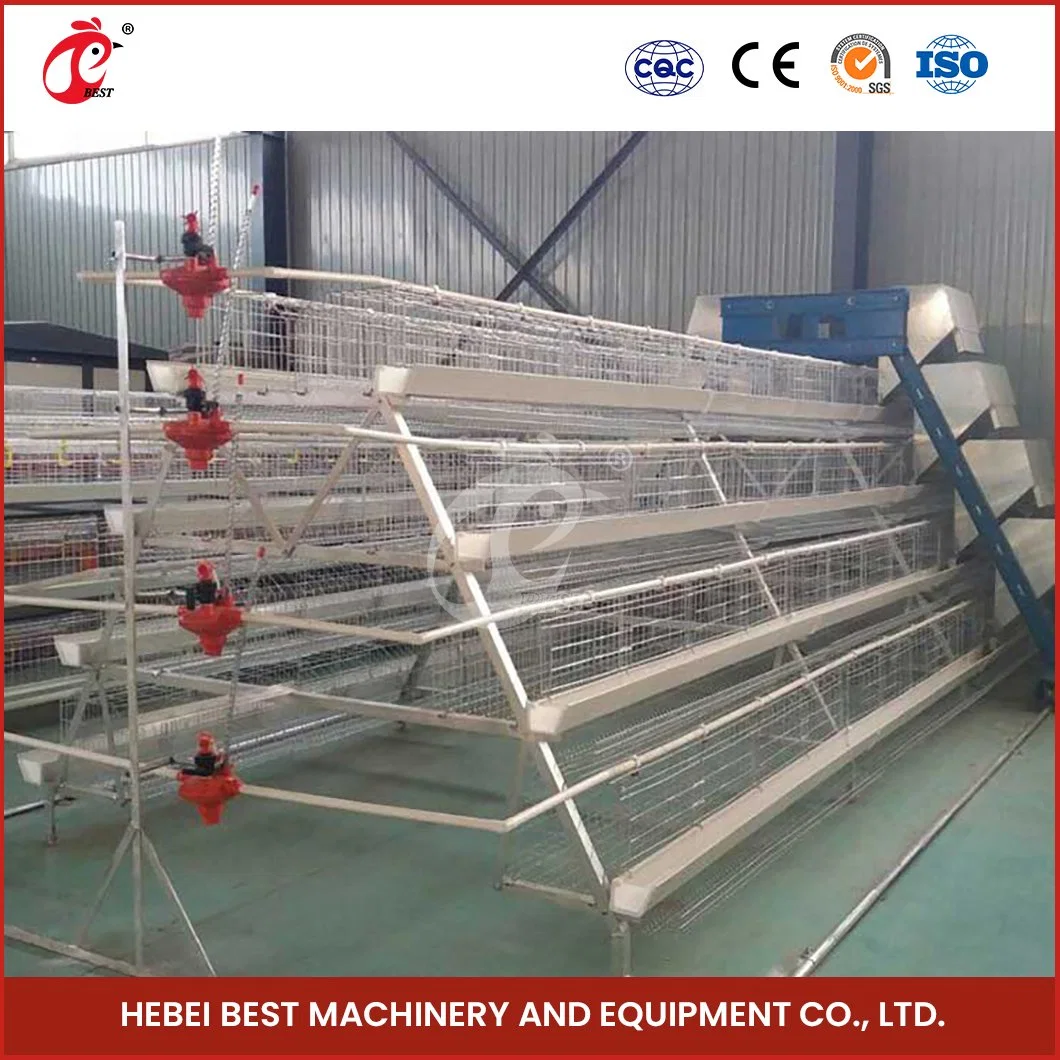 Bestchickencage Ordinary Type Layer Cage China Cubby Layer House Chicken Layer Coop Factory Sample Available Anti-Bacterial Growth H Frame Chicken Layer Cage