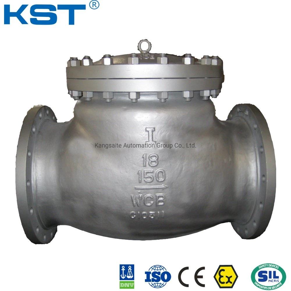 Wcb Check Valve