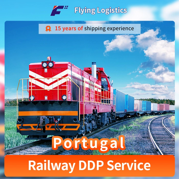 Export Agent DDP Sea Shipping Air Cargo Freight Forwarder to Portugal/Poland/Tajikistan/Spain Railway/Train FedEx/UPS/DHL Express Shipping Agents Service Logist