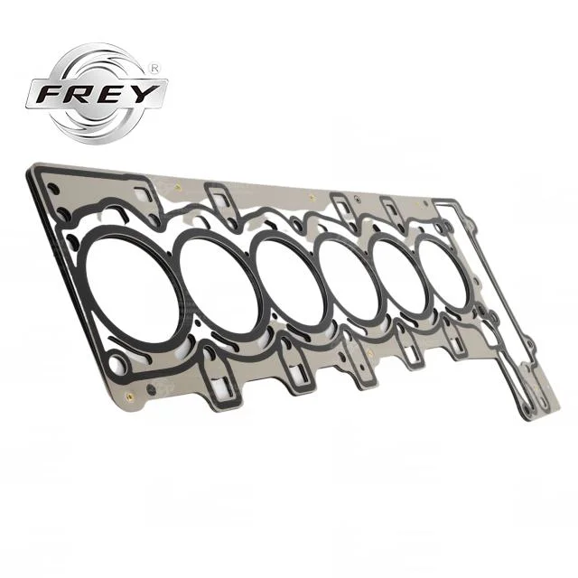 Frey nouveau démarreur de pièces automobiles OEM 11127557265 pour BMW E90 E91 E92 E93 F01 F02 E60