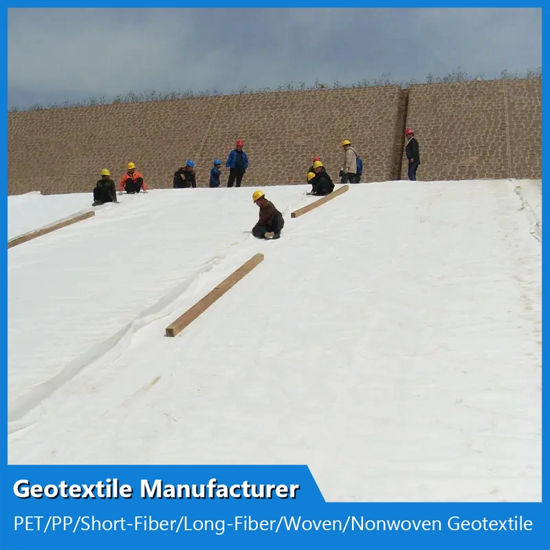 150g 200g 300g 400g 500g 800g de 1000 G PP/PET reforzado tejida de poliester/Nonwoven Geotextile precio para la construcción de carreteras