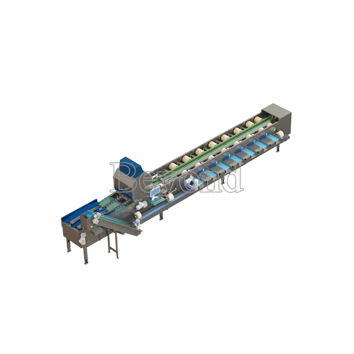 Fruit juice processing equipment automatic mango grading machine