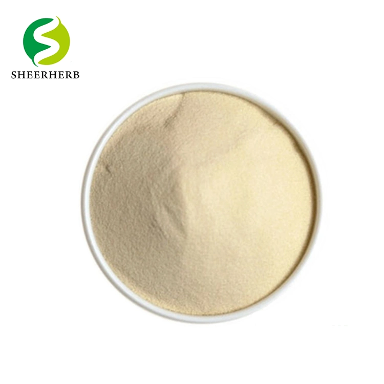 High Purity Food Ingredient Organic Xanthan Gum Pure Xanthan Gum