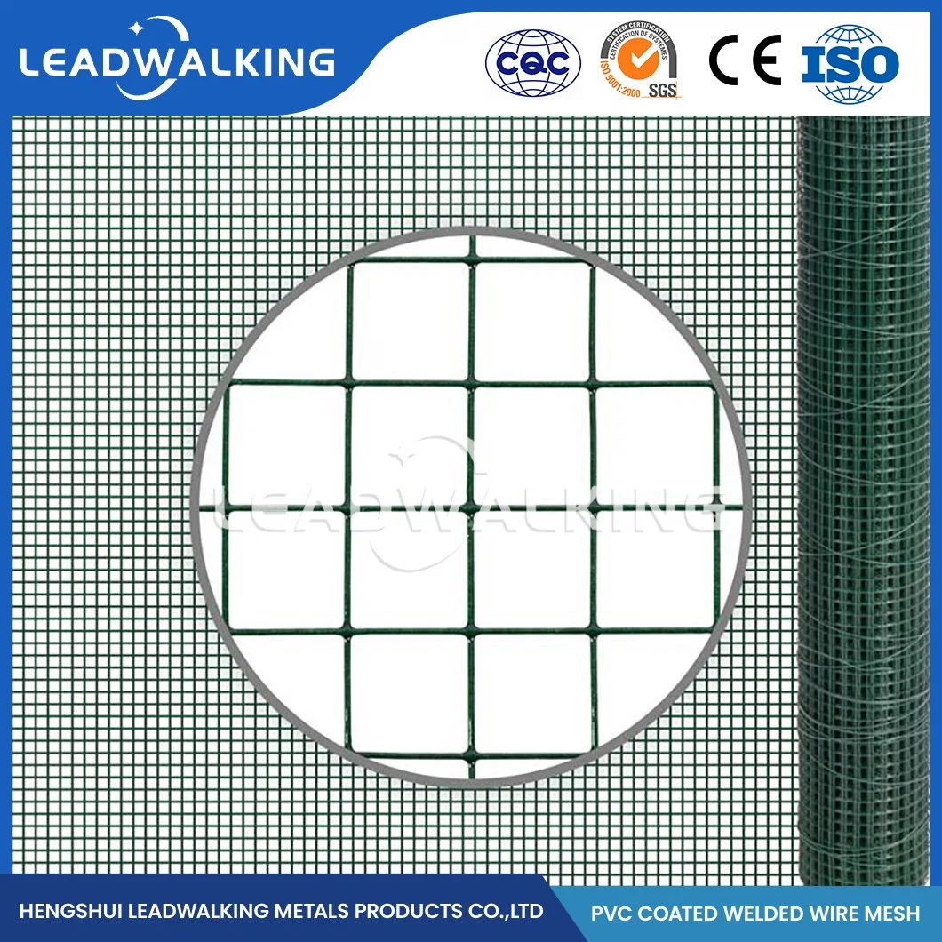 Los halos de acero galvanizado Leadwalking/Fábrica de mallas soldadas de malla de alambre galvanizado mayorista China 10.0x10.0mm Electric galvanizado recubierto de PVC mallas soldadas