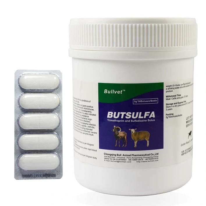 Prevention and Control of Parajaundice: Trimethoprim Sulfadiazine Tablets Antibiotics