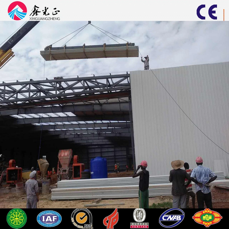 Steel Structure Building/Steel Structure Framework (SSW-252)