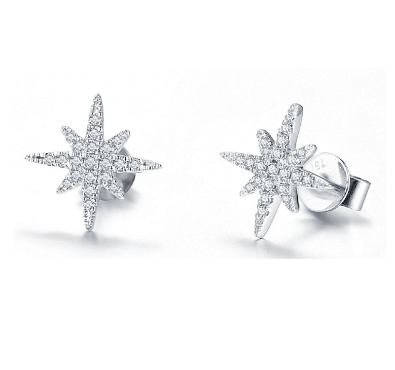 Luxury Diamond Fashion 925 Sterling Silver Stud Women Custom Earring