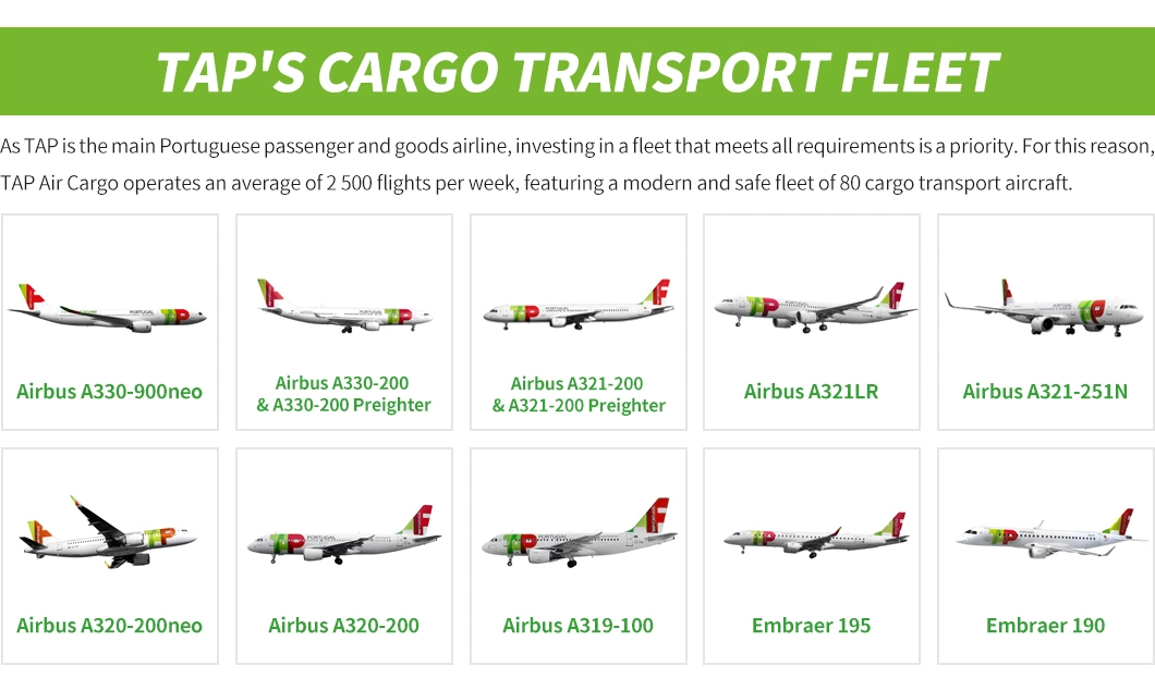 Tp/Tap Portugal, Air Shipping Cargo Agent, From Shenzhen, China to Brasilia, Brazil